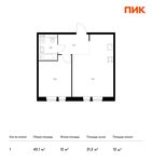 Планировка 1-комнатной квартиры, 43,1 м2