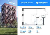Планировка квартиры студии, 24,8 м2