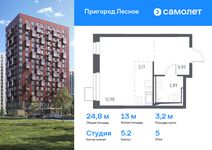Планировка квартиры студии, 24,8 м2