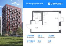 Планировка квартиры студии, 24,8 м2