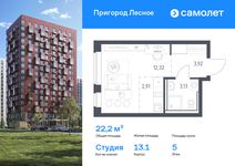 Планировка квартиры студии, 22,2 м2