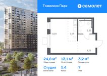 Планировка квартиры студии, 24,8 м2