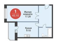 Планировка 1-комнатной квартиры, 43,1 м2