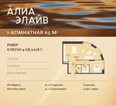 Планировка  1-комнатной квартиры, 65 м2