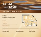 Планировка  1-комнатной квартиры, 65,1 м2