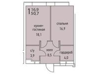 Планировка 1-комнатной квартиры, 50,8 м2