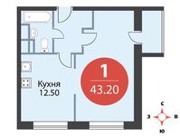Планировка 1-комнатной квартиры, 43,2 м2