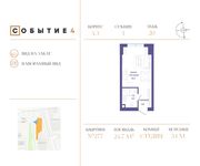 Планировка квартиры студии, 24,7 м2