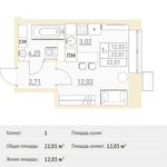 Планировка квартиры студии, 22,01 м2