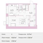 Планировка 1-комнатной квартиры, 45,03 м2