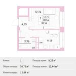Планировка 1-комнатной квартиры, 30,75 м2