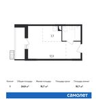 Планировка квартиры студии, 24,8 м2