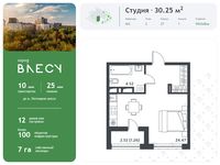 Планировка квартиры студии, 30,25 м2