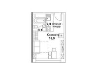 Планировка квартиры студии, 24,3 м2