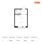 Планировка квартиры студии, 24,9 м2