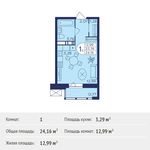 Планировка квартиры студии, 24,16 м2