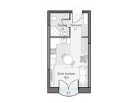 Планировка квартиры студии, 24,45 м2