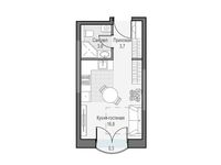 Планировка квартиры студии, 24,8 м2