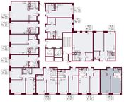 Планировка 1-комнатной квартиры, 48,1 м2