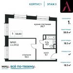 Планировка 1-комнатной квартиры, 58,8 м2