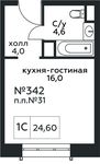 Планировка квартиры студии, 24,6 м2
