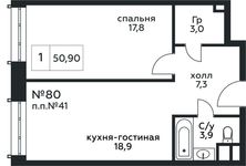 Планировка 1-комнатной квартиры, 50,9 м2