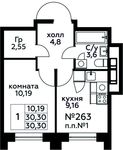 Планировка 1-комнатной квартиры, 30,3 м2