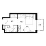 Планировка квартиры студии, 24,8 м2