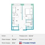 Планировка 1-комнатной квартиры, 30,4 м2