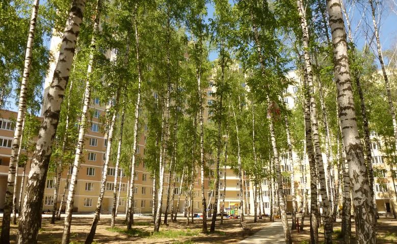 Околица московская область щелково центральная улица фото